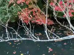 吉備津神社の自然