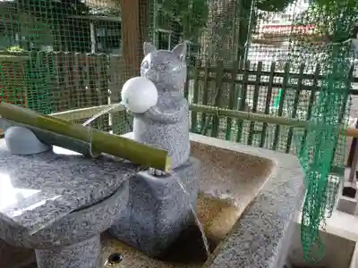 荻窪白山神社の手水舎