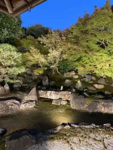 圓徳院(京都府)