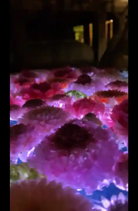 行田八幡神社の{uncategorized: "未分類", other: "その他", undefined: "問題あり", building: "その他建物", grave: "お墓", sacred_gate: "鳥居", guardian: "狛犬", statue: "像", buddha: "仏像", history: "歴史", nature: "自然", garden: "庭園", animal: "動物", pagoda: "塔", temizu: "手水舎", mountain_gate: "山門・神門", sanctuary: "本殿・本堂", subordinate: "末社・摂社", art: "芸術", scenery: "景色", jizo: "地蔵", ema: "絵馬", goshuin: "御朱印", omikuji: "おみくじ", items: "授与品その他", amulet: "お守り", goshuincho: "御朱印帳", eats: "食事", festival: "お祭り", votive_dance: "神楽", shichigosan: "七五三参", wedding: "結婚式", experience: "体験その他", initially: "初詣", around: "周辺", anti_infection: "感染症対策"}