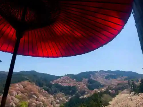 吉水神社の景色