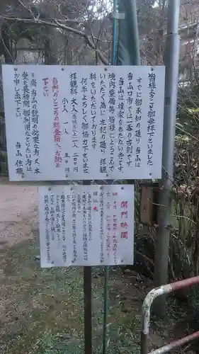 龍蔵寺(山口県)