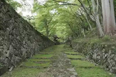 百済寺の{uncategorized: "未分類", other: "その他", undefined: "問題あり", building: "その他建物", grave: "お墓", sacred_gate: "鳥居", guardian: "狛犬", statue: "像", buddha: "仏像", history: "歴史", nature: "自然", garden: "庭園", animal: "動物", pagoda: "塔", temizu: "手水舎", mountain_gate: "山門・神門", sanctuary: "本殿・本堂", subordinate: "末社・摂社", art: "芸術", scenery: "景色", jizo: "地蔵", ema: "絵馬", goshuin: "御朱印", omikuji: "おみくじ", items: "授与品その他", amulet: "お守り", goshuincho: "御朱印帳", eats: "食事", festival: "お祭り", votive_dance: "神楽", shichigosan: "七五三参", wedding: "結婚式", experience: "体験その他", initially: "初詣", around: "周辺", anti_infection: "感染症対策"}