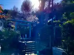 御霊神社の鳥居