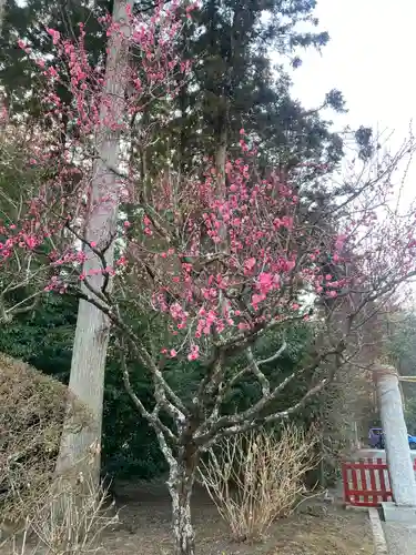 芳賀天満宮(栃木県)