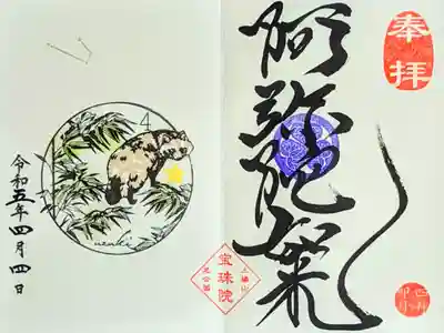 令和5年 月替り御朱印 4月
『若竹とたぬき•おひつじ座(阿弥陀如来)』