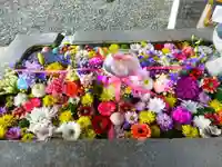 西宮八幡宮(山口県)