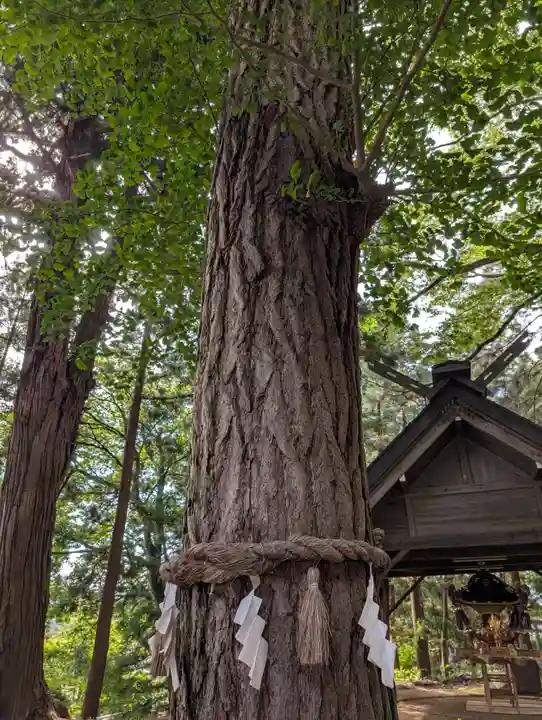 鏑八幡神社(岩手県)