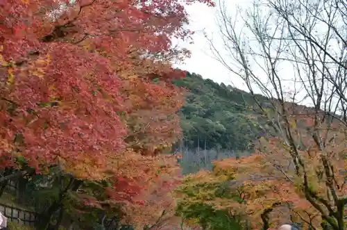 清水寺(京都府)