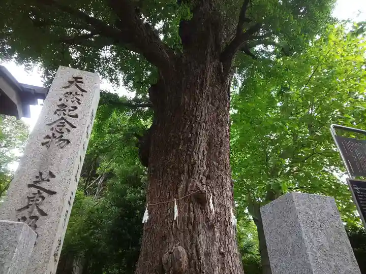 芝東照宮の自然