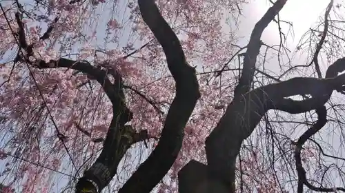 雨宝院の庭園