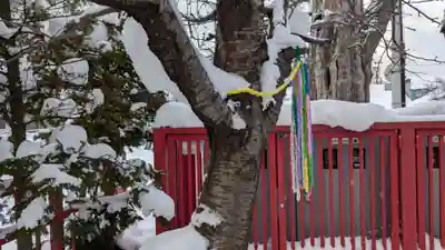 旭川銀座弁天神社の自然