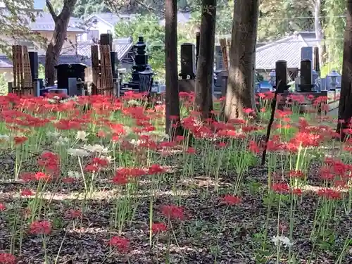 祖光院(千葉県)