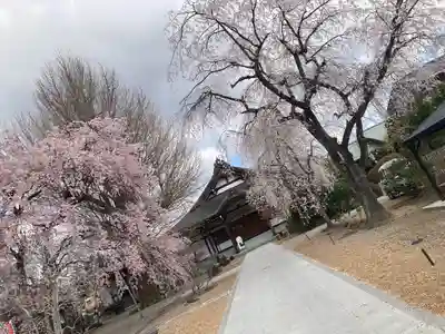 蓮華寺(宮城県)