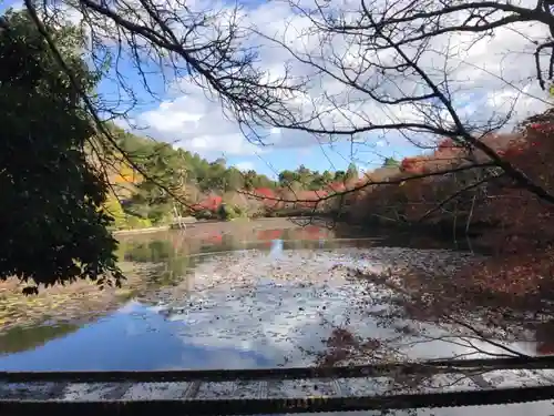 龍安寺(京都府)