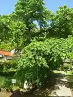 光明寺(山口県)