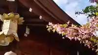 櫛田神社の自然