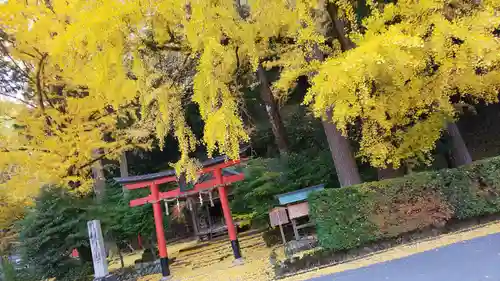 岩戸落葉神社の鳥居