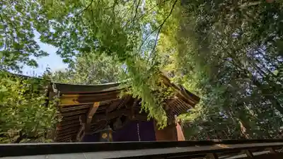 八大神社の本殿・本堂