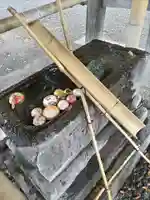 相模原氷川神社(神奈川県)