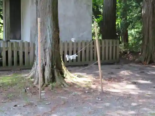 原野八幡宮のおみくじ