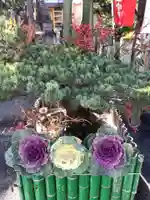 御嶽神社茅萱宮の自然