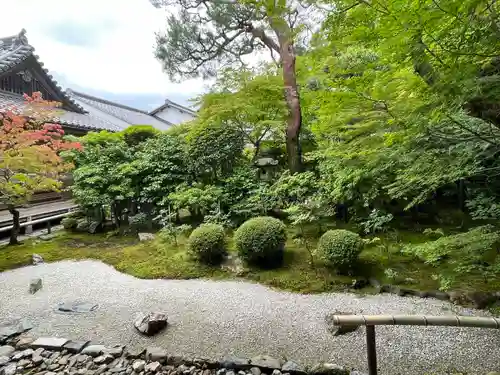 二尊院(京都府)