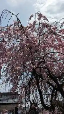 善行院(京都府)