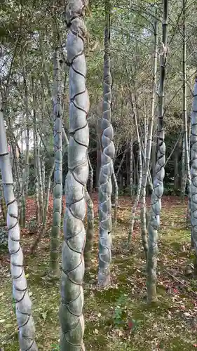 浄住寺(京都府)