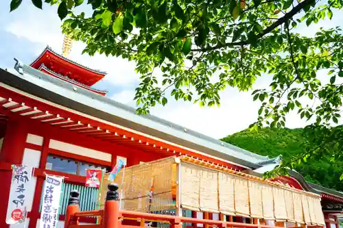 総本山　本福寺の建物その他