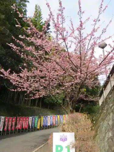 身代り不動尊(大明王院)の周辺