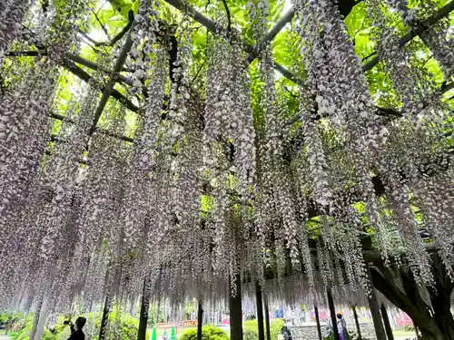宮目神社（玉敷神社　境内社）(埼玉県)