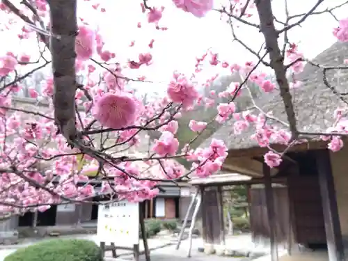 菟越神社(福井県)