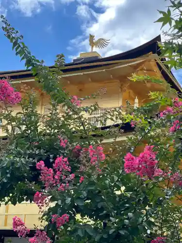 鹿苑寺（金閣寺）(京都府)