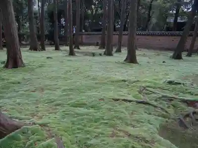 唐招提寺(奈良県)