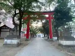 花園神社の鳥居