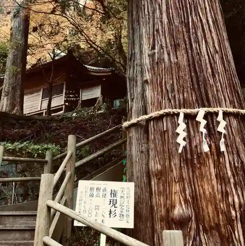 八女津媛神社の自然