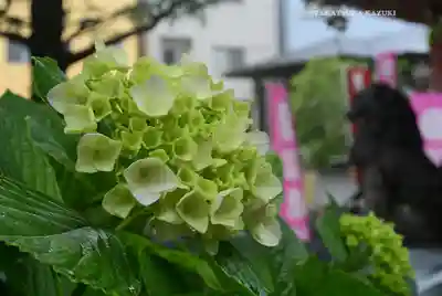 今戸神社(東京都)
