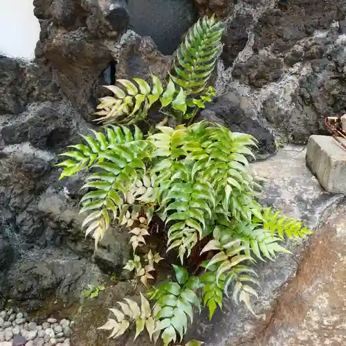 篠塚稲荷神社の庭園