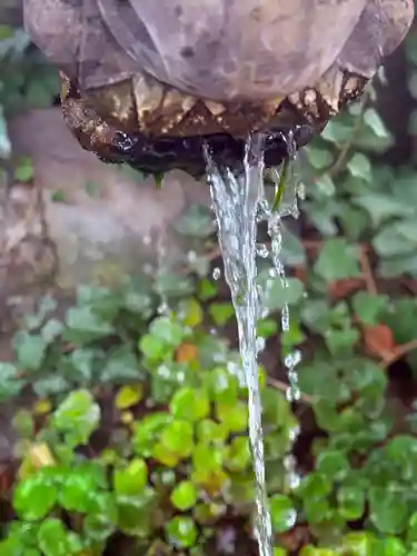 松戸神社(千葉県)