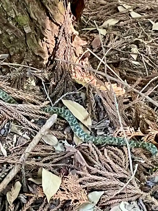 弘川寺(大阪府)