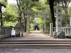 赤坂氷川神社の鳥居