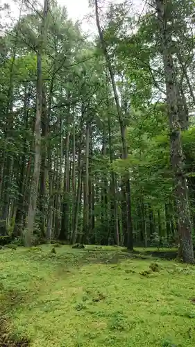 古峯神社の自然