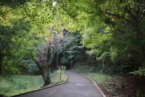 臼杵石仏の建物その他