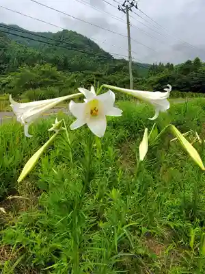高司神社〜むすびの神の鎮まる社〜(福島県)