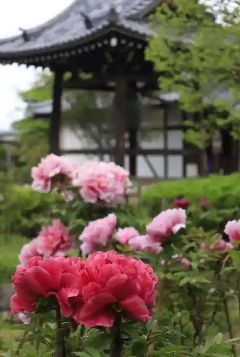 乙訓寺(京都府)