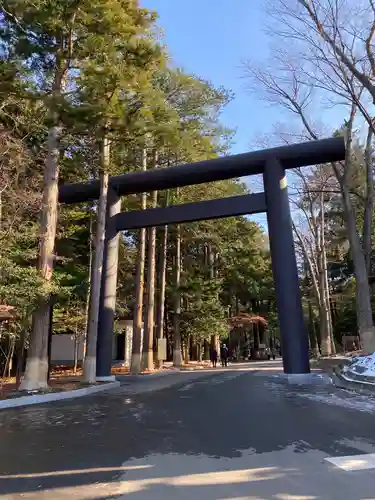 北海道神宮の鳥居