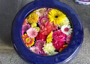 三津厳島神社(愛媛県)(2026年01月17日(土) 10時59分37秒投稿)