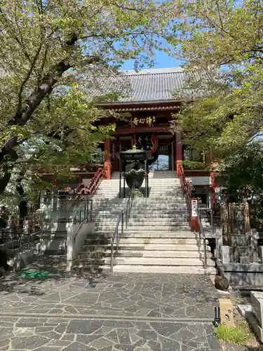 浄心寺(東京都)