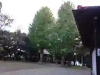 諏訪神社の自然